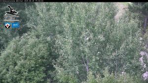 Blick Talaufwärts 2 2025-08-29 15:00