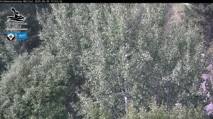 Blick Talaufwärts 2 2025-08-29 17:00