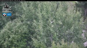 Blick Talaufwärts 2 2025-08-29 19:00