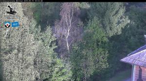 Blick Talaufwärts 2 2025-09-15 18:00
