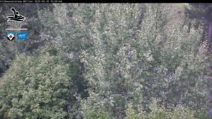Blick Talaufwärts 2 2025-09-16 10:00