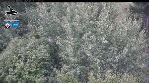 Blick Talaufwärts 2 2025-09-16 11:00