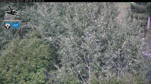 Blick Talaufwärts 2 2025-09-16 13:00