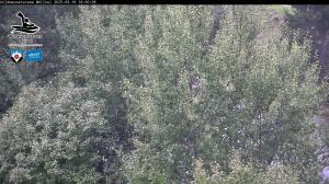 Blick Talaufwärts 2 2025-09-16 18:00