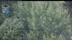 Blick Talaufwärts 2 2025-09-16 19:00