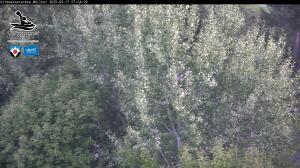 Blick Talaufwärts 2 2025-09-17 07:00
