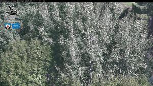Blick Talaufwärts 2 2025-09-17 11:00