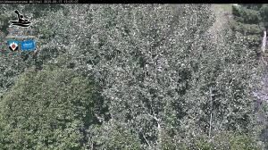 Blick Talaufwärts 2 2025-09-17 13:00