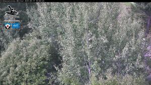 Blick Talaufwärts 2 2025-09-17 16:00
