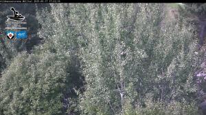 Blick Talaufwärts 2 2025-09-17 17:00