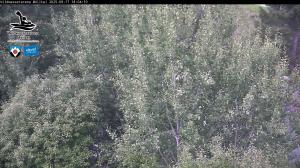 Blick Talaufwärts 2 2025-09-17 18:00