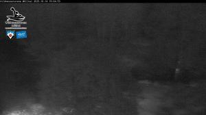 Blick Talaufwärts 2 2025-10-14 19:00