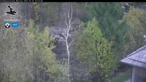 Blick Talaufwärts 2 2025-10-18 16:00