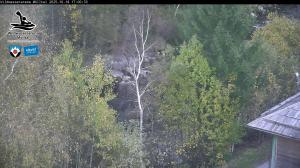 Blick Talaufwärts 2 2025-10-18 17:00