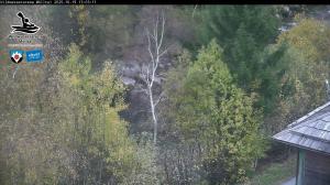 Blick Talaufwärts 2 2025-10-19 13:00