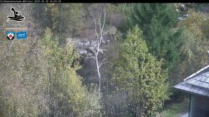 Blick Talaufwärts 2 2025-10-19 14:00