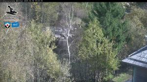 Blick Talaufwärts 2 2025-10-19 15:00
