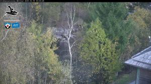 Blick Talaufwärts 2 2025-10-19 16:00