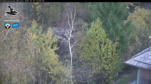 Blick Talaufwärts 2 2025-10-19 17:00