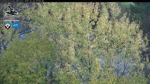 Blick Talaufwärts 2 2025-10-24 08:00
