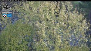 Blick Talaufwärts 2 2025-10-24 09:00