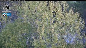 Blick Talaufwärts 2 2025-10-24 10:00