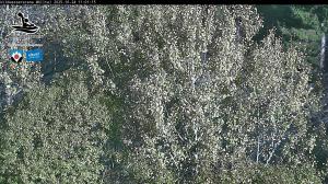 Blick Talaufwärts 2 2025-10-24 11:00