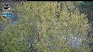Blick Talaufwärts 2 2025-10-24 12:00