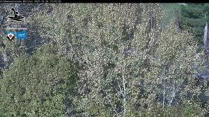 Blick Talaufwärts 2 2025-10-24 13:00
