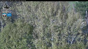 Blick Talaufwärts 2 2025-10-24 14:00