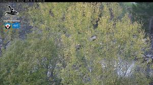 Blick Talaufwärts 2 2025-10-24 15:00