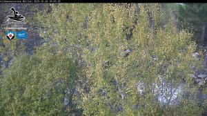 Blick Talaufwärts 2 2025-10-24 16:00