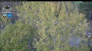 Blick Talaufwärts 2 2025-10-24 17:00