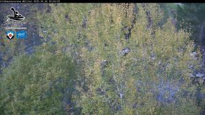 Blick Talaufwärts 2 2025-10-24 18:00
