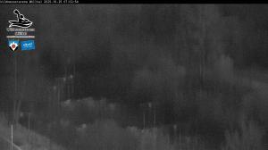 Blick Talaufwärts 2 2025-10-25 07:00