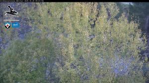 Blick Talaufwärts 2 2025-10-25 09:00