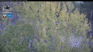 Blick Talaufwärts 2 2025-10-25 10:00