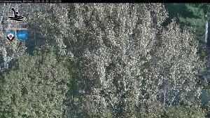 Blick Talaufwärts 2 2025-10-25 11:00