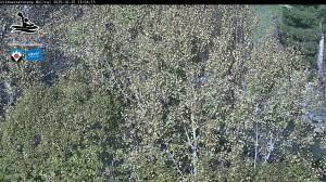 Blick Talaufwärts 2 2025-10-25 13:00