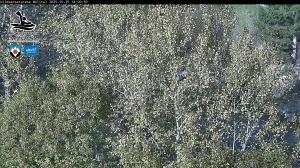 Blick Talaufwärts 2 2025-10-25 14:00