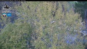 Blick Talaufwärts 2 2025-10-25 15:00