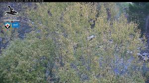 Blick Talaufwärts 2 2025-10-25 16:00