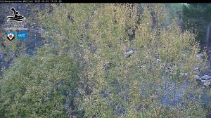 Blick Talaufwärts 2 2025-10-25 17:00
