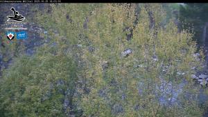 Blick Talaufwärts 2 2025-10-25 18:00