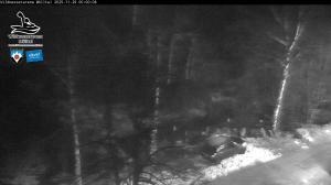 Blick Talaufwärts 2 2025-11-29 00:00