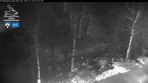 Blick Talaufwärts 2 2025-11-29 01:00