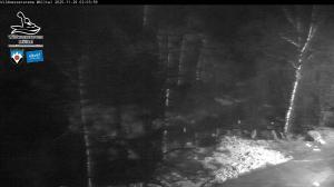 Blick Talaufwärts 2 2025-11-29 02:00