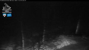 Blick Talaufwärts 2 2025-11-29 05:00