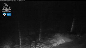 Blick Talaufwärts 2 2025-11-29 06:00