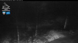 Blick Talaufwärts 2 2025-11-30 20:00